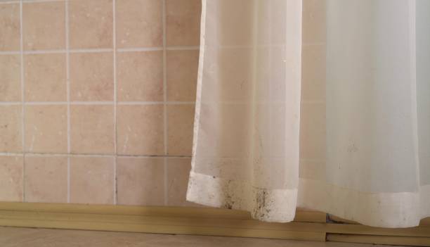 Best Mold-Related Health Consultation  in Westwood Lakes, FL