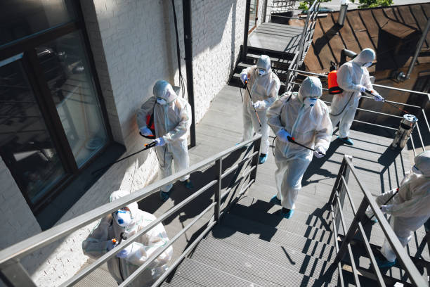 Best Crawl Space Mold Remediation  in Westwood Lakes, FL