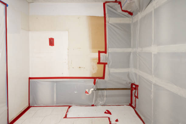 Best Mold Prevention Services  in Westwood Lakes, FL