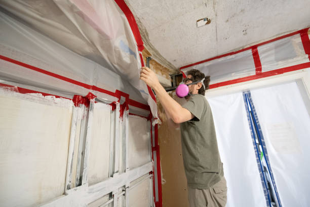 Best Emergency Mold Remediation  in Westwood Lakes, FL