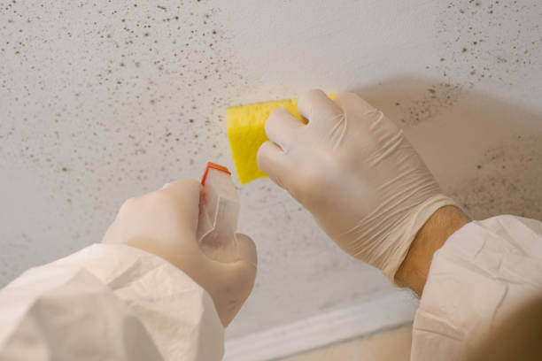 Best Mold Removal for HVAC Installations  in Westwood Lakes, FL